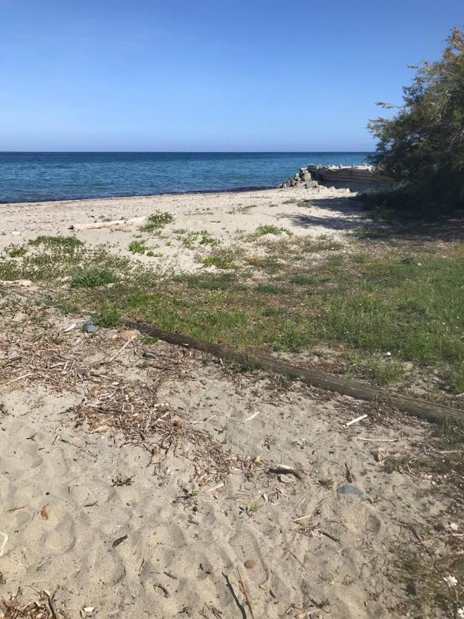 Corsica Studio Face A La Mer Moriani Plage Apartment San-Nicolao Exterior photo