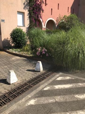 Corsica Studio Face A La Mer Moriani Plage Apartment San-Nicolao Exterior photo